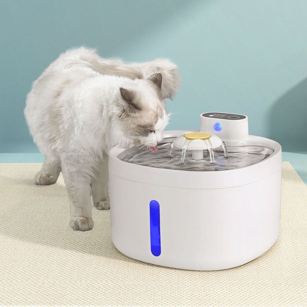 Pet Automatic Pet Water Fountain 2.6L