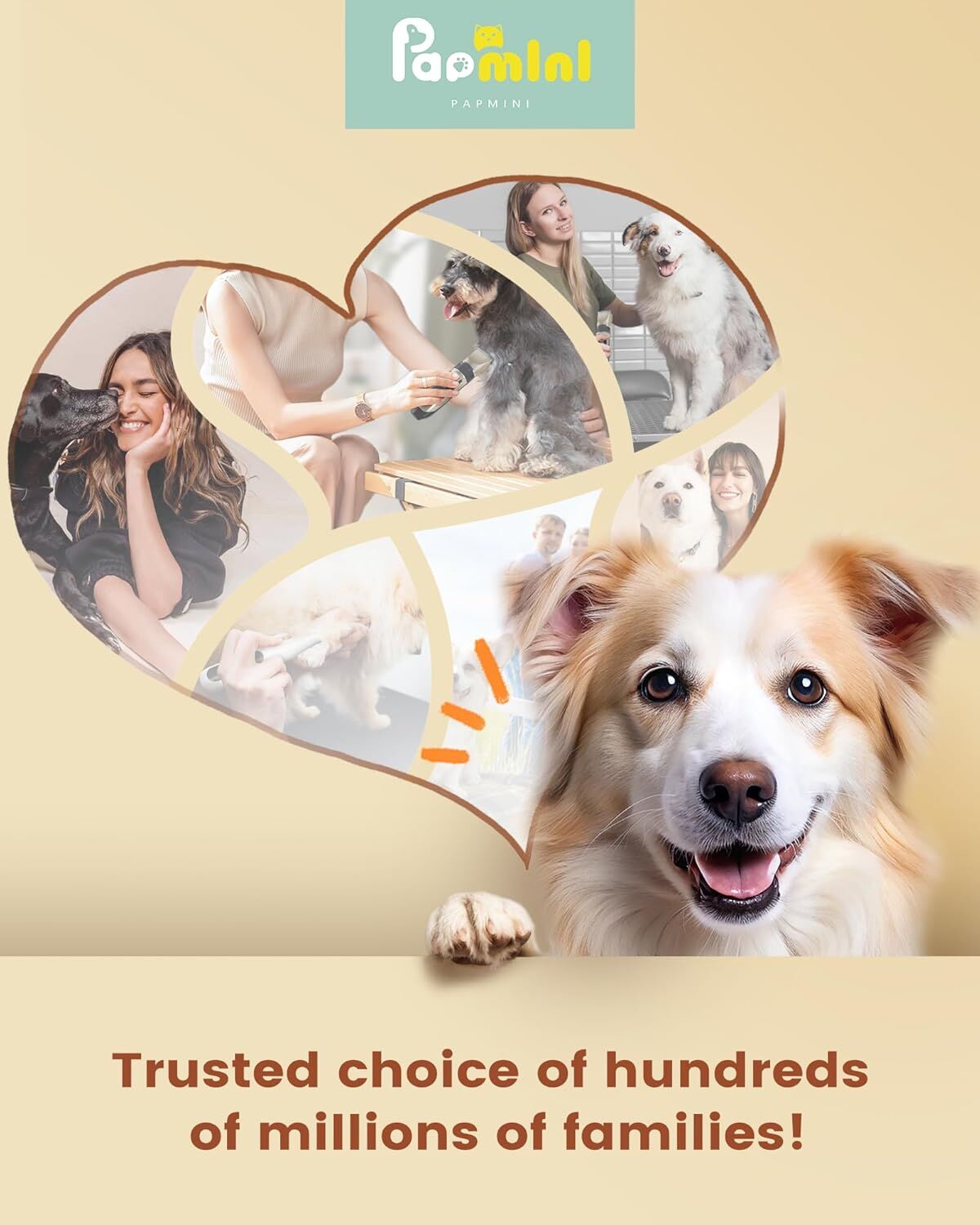 Cordless Professional Pet Grooming Clippers