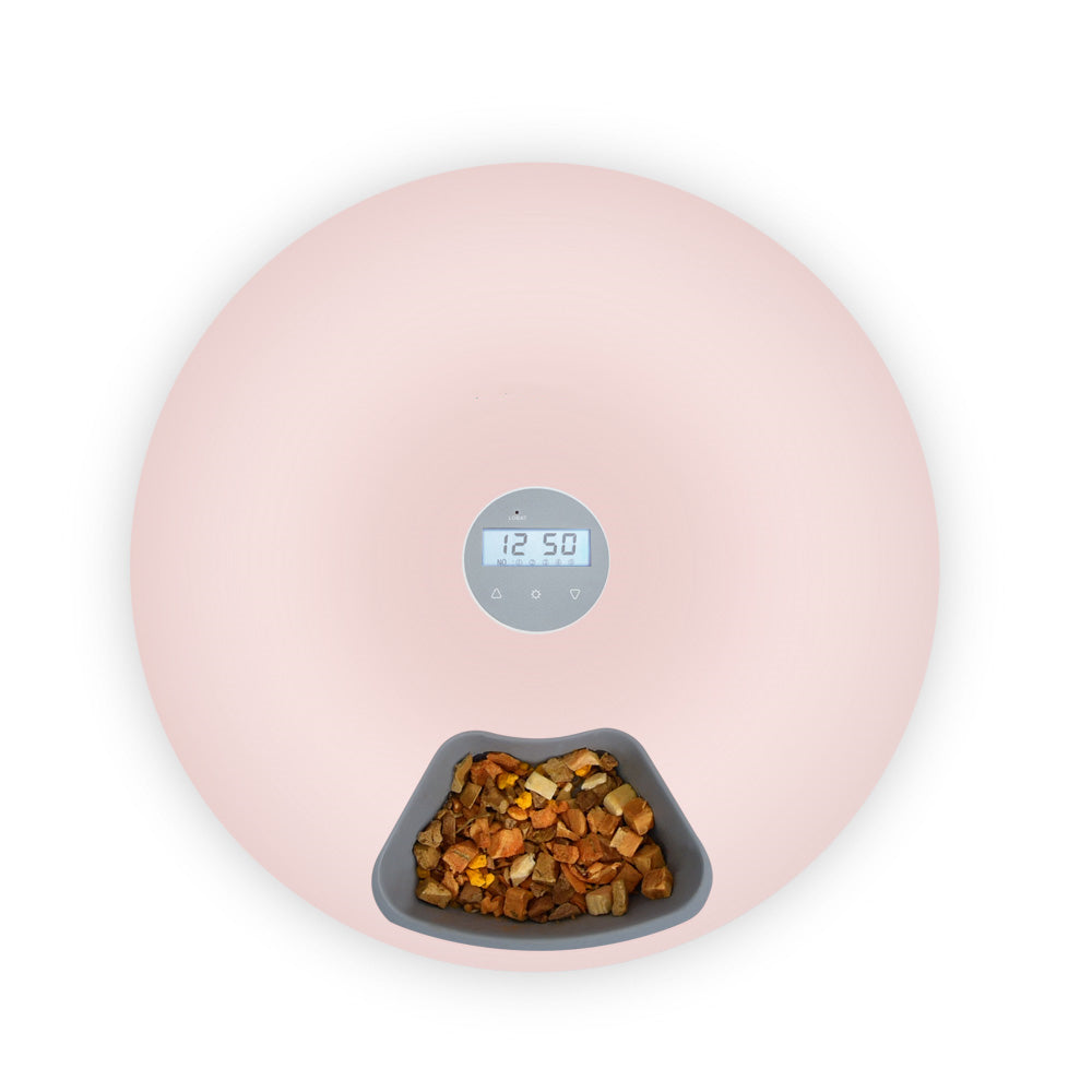 6-Meal Programmable Automatic Pet Feeder - Pink