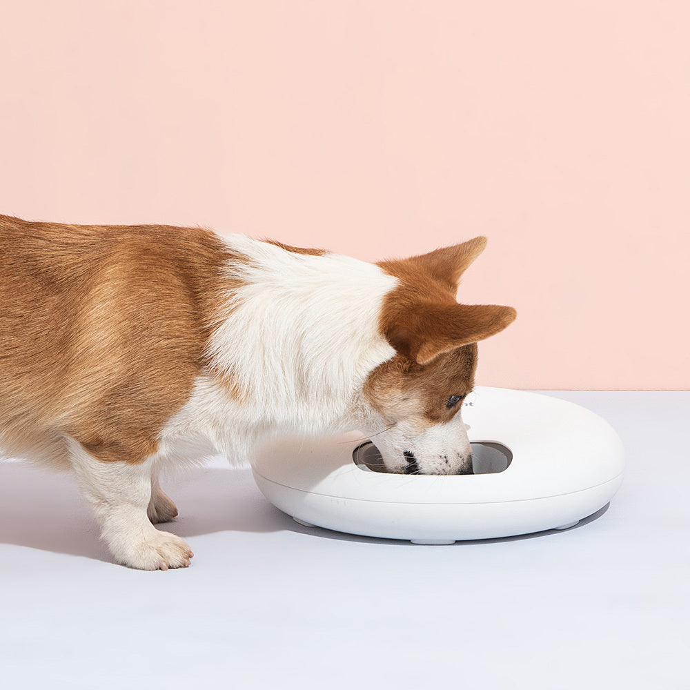 6-Meal Programmable Automatic Pet Feeder - Pink