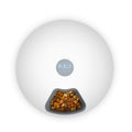 6-Meal Programmable Automatic Pet Feeder - White