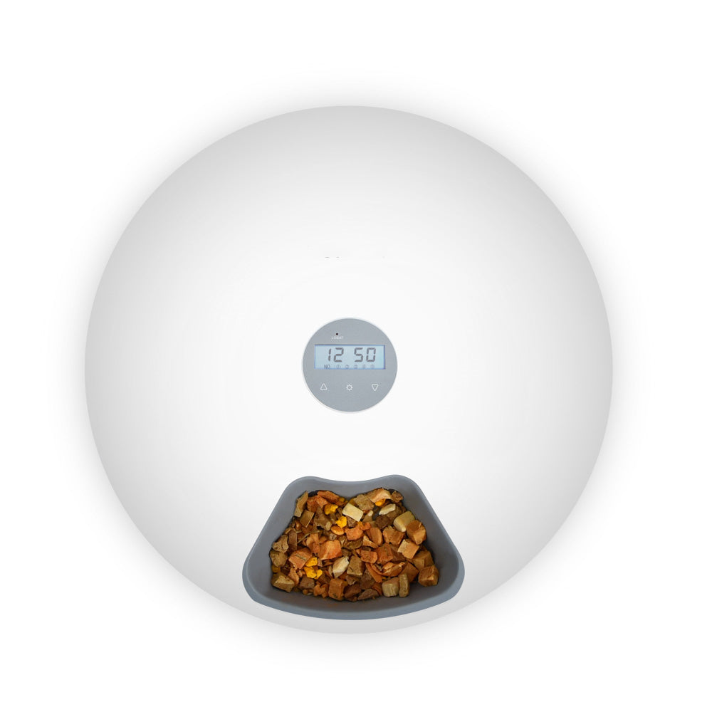 6-Meal Programmable Automatic Pet Feeder - White