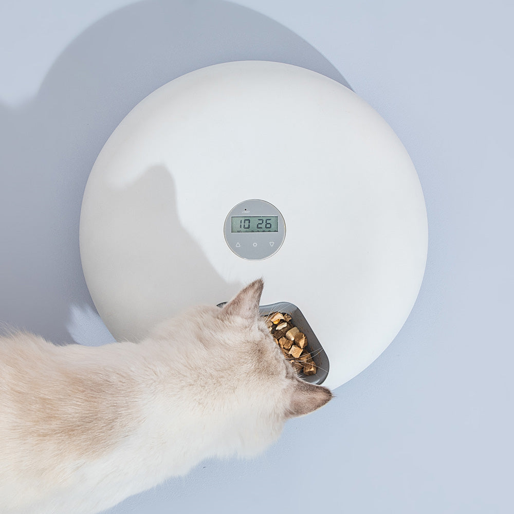 6-Meal Programmable Automatic Pet Feeder - White