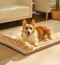 XL Thickened Soft Pet Bed Mat - Coffee Milk