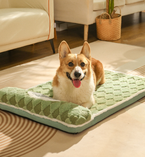 XL Thickened Soft Pet Bed Mat - Light Green